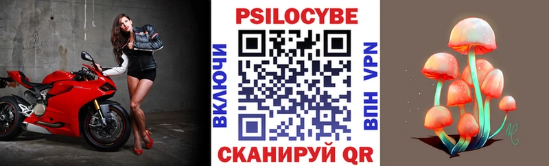 Псилоцибиновые грибы Psilocybe купить сайты маркетплейс как зайти Оха